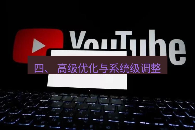 谷歌浏览器 四、 高级优化与系统级调整