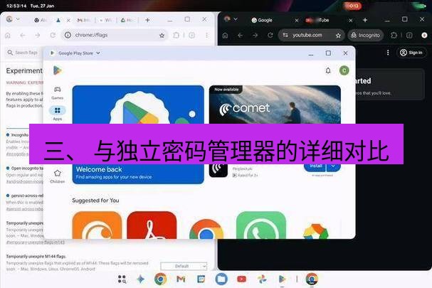 谷歌浏览器 三、 与独立密码管理器的详细对比