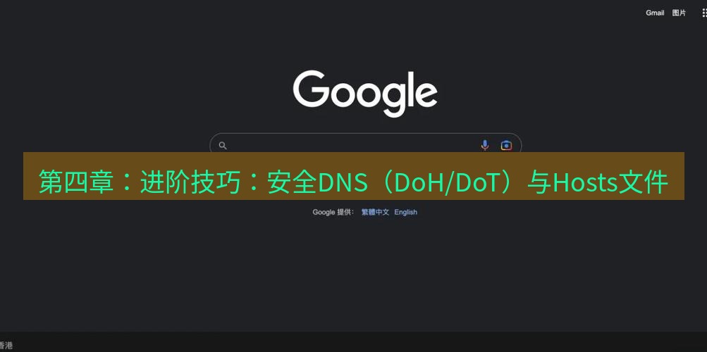 谷歌浏览器 第四章：进阶技巧：安全DNS（DoH/DoT）与Hosts文件