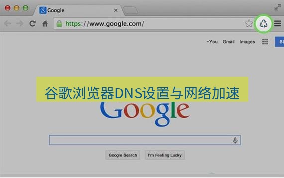 谷歌浏览器 谷歌浏览器DNS设置与网络加速
