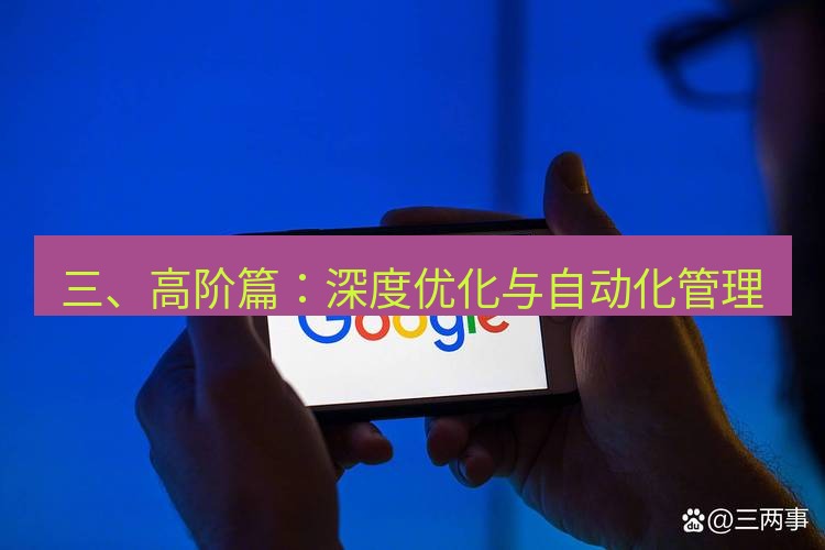 谷歌浏览器 三、高阶篇：深度优化与自动化管理