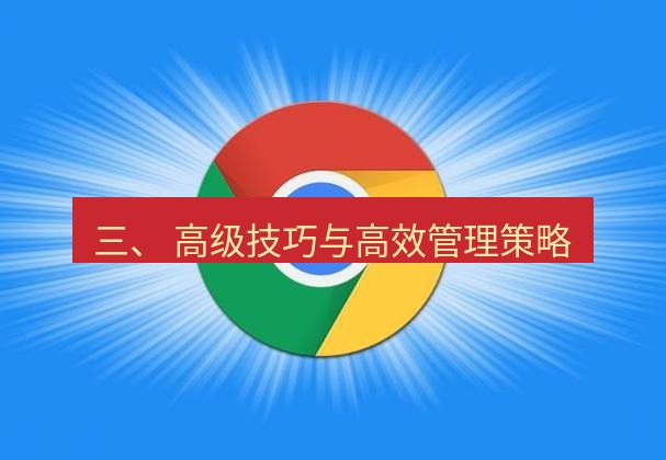 谷歌浏览器 三、 高级技巧与高效管理策略