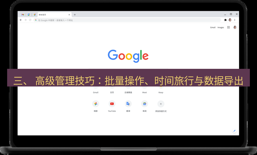 谷歌浏览器 三、 高级管理技巧：批量操作、时间旅行与数据导出