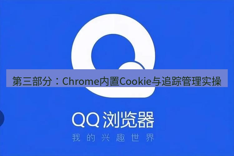 谷歌浏览器 第三部分：Chrome内置Cookie与追踪管理实操