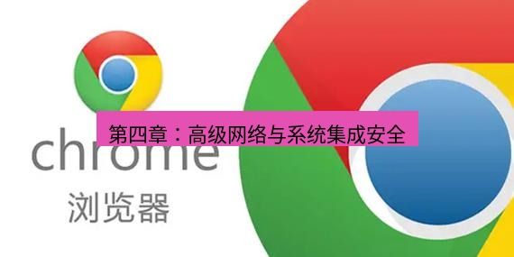 谷歌浏览器 第四章：高级网络与系统集成安全