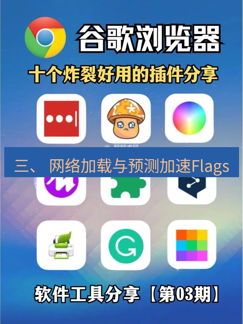谷歌浏览器 三、 网络加载与预测加速Flags