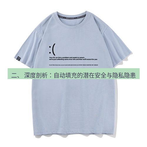 谷歌浏览器 二、 深度剖析：自动填充的潜在安全与隐私隐患