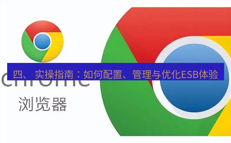 谷歌浏览器 四、 实操指南：如何配置、管理与优化ESB体验