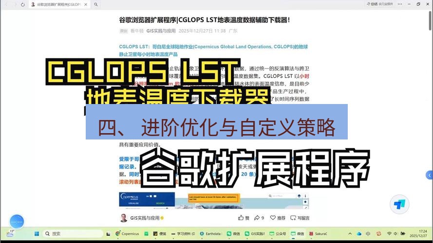 谷歌浏览器 四、 进阶优化与自定义策略