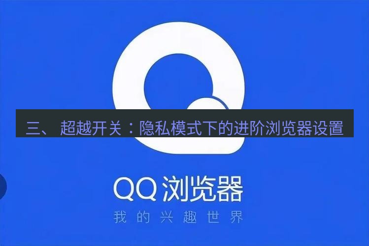 谷歌浏览器 三、 超越开关：隐私模式下的进阶浏览器设置