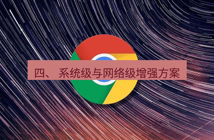 谷歌浏览器 四、 系统级与网络级增强方案