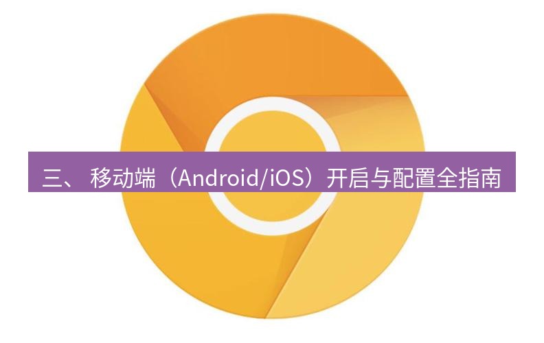 谷歌浏览器 三、 移动端（Android/iOS）开启与配置全指南