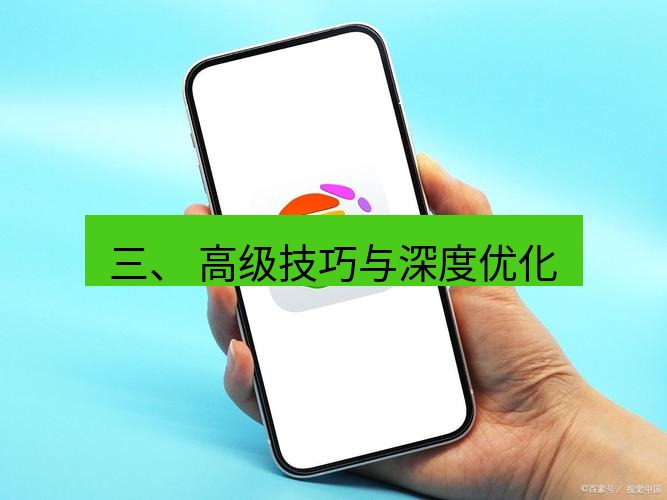 谷歌浏览器 三、 高级技巧与深度优化
