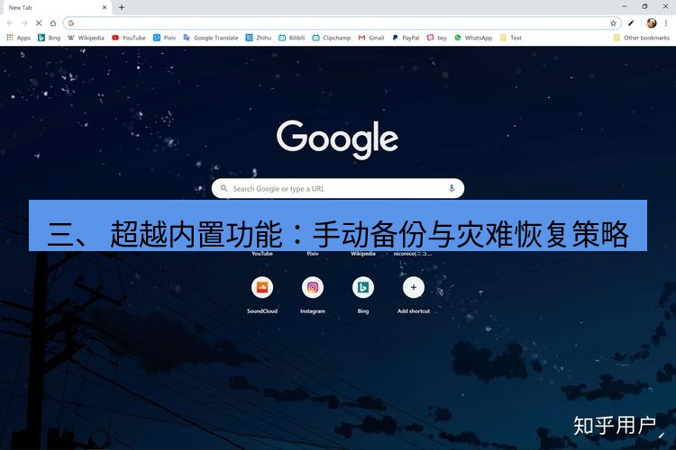 谷歌浏览器 三、 超越内置功能：手动备份与灾难恢复策略