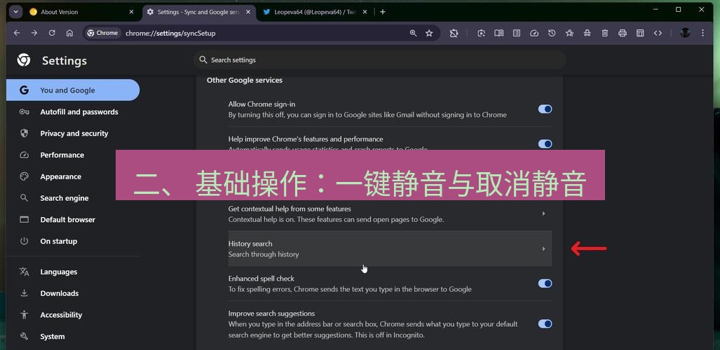 谷歌浏览器 二、 基础操作：一键静音与取消静音