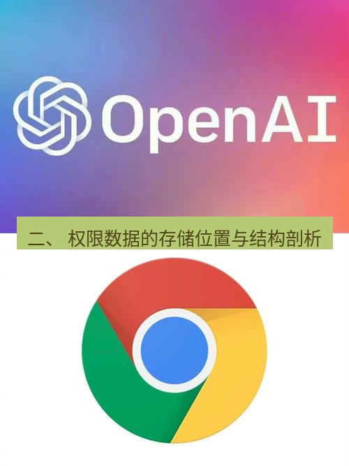 谷歌浏览器 二、 权限数据的存储位置与结构剖析